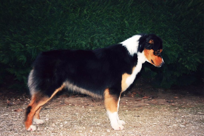 Love my way to please you du Chalet de Fanny